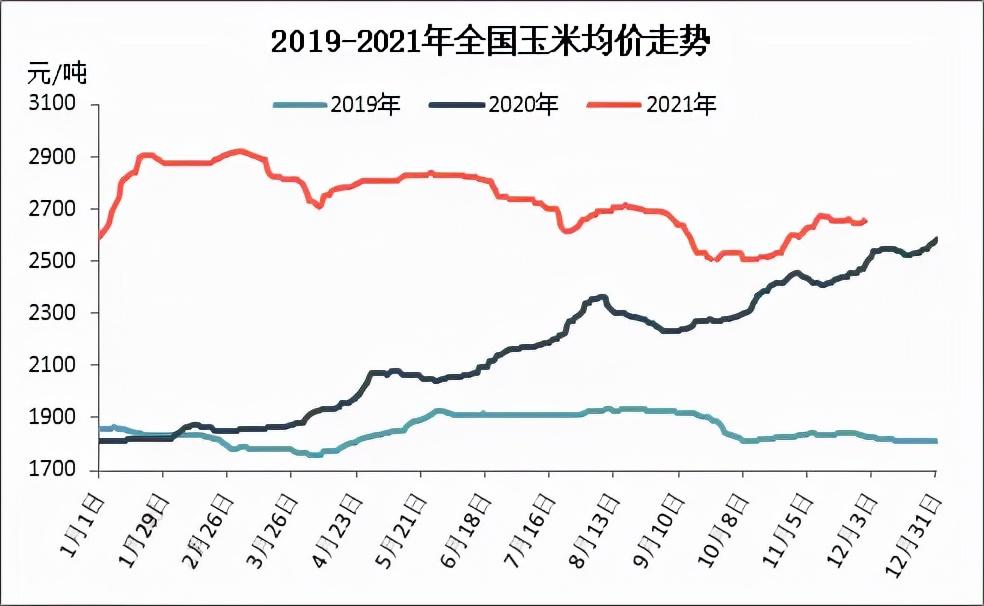 全國玉米最新價(jià)格及市場走勢(shì)分析與預(yù)測報(bào)告