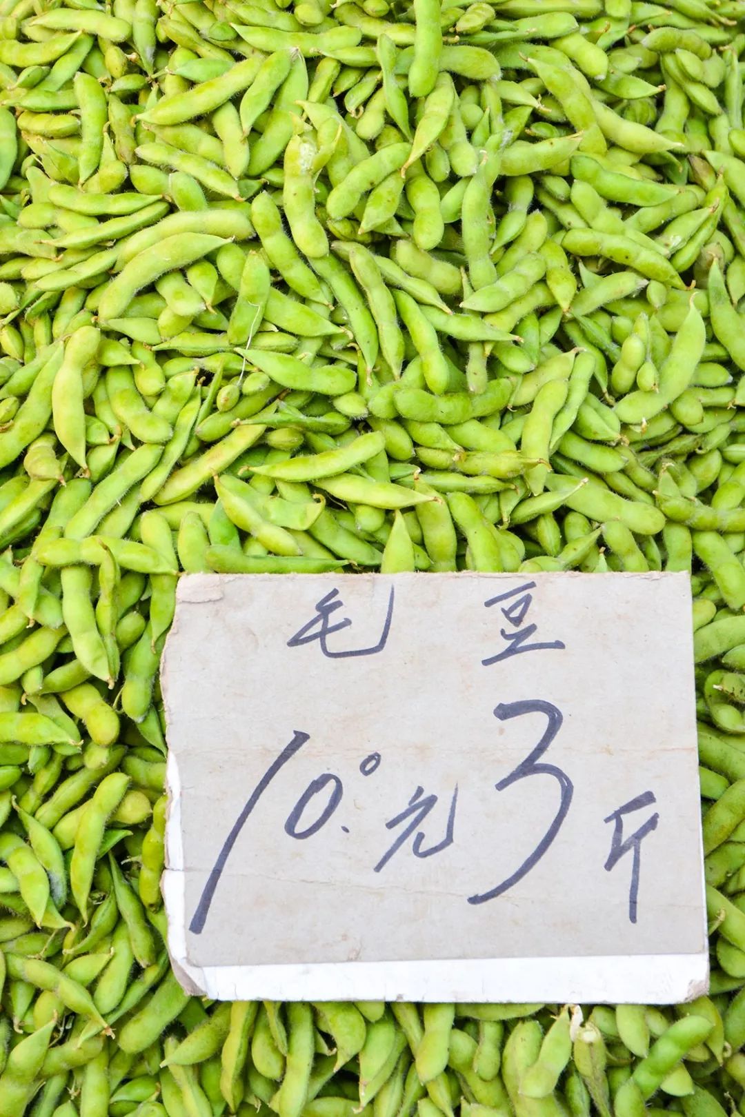 毛豆價格最新行情,毛豆價格最新行情——科技引領生活新潮流