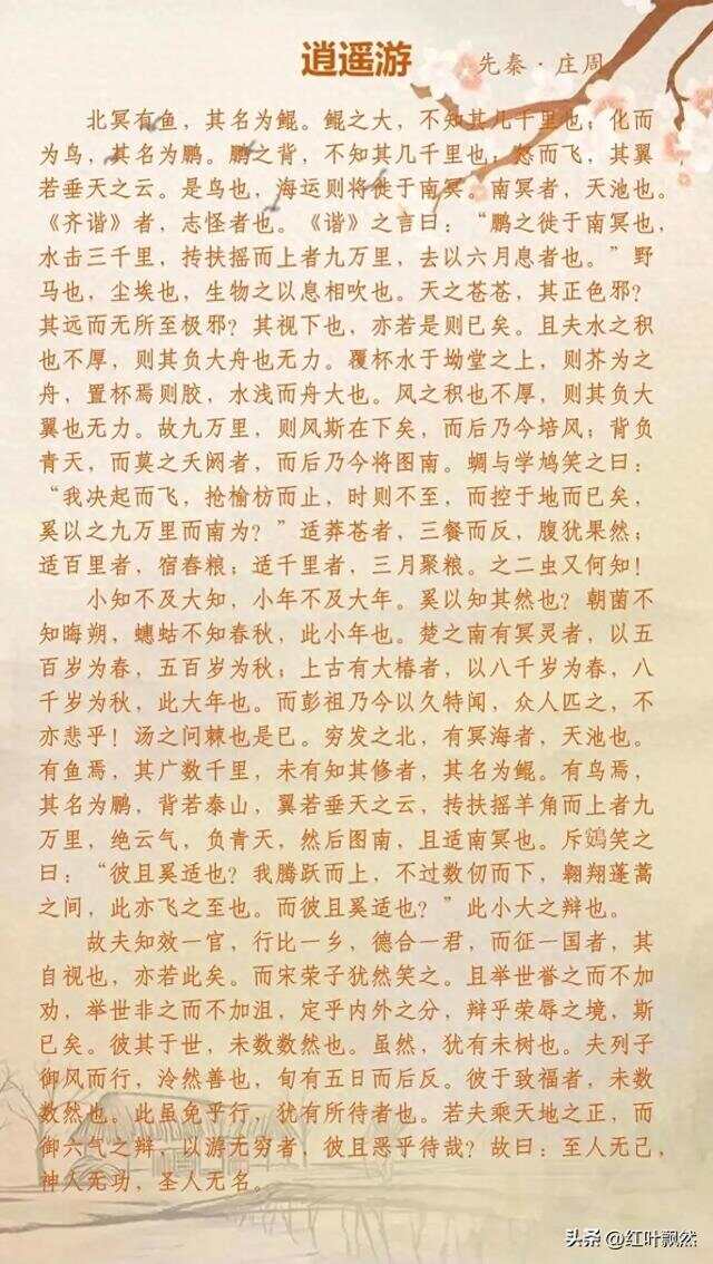 逍遙游最新章節(jié)探索與爭議閱讀