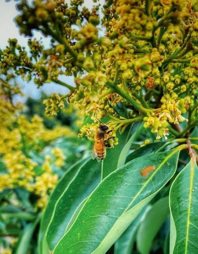 電白水東最新樓盤房價與溫馨故事概述