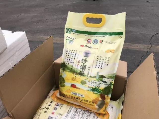 蒼山大白菜最新價格動態(tài)及行情分析