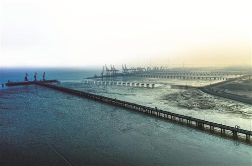 嘉興港區(qū)房?jī)r(jià)最新動(dòng)態(tài)與市場(chǎng)走勢(shì)分析