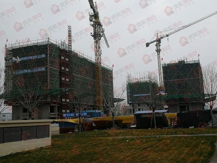 藁城樓盤最新信息與市場現(xiàn)狀展望