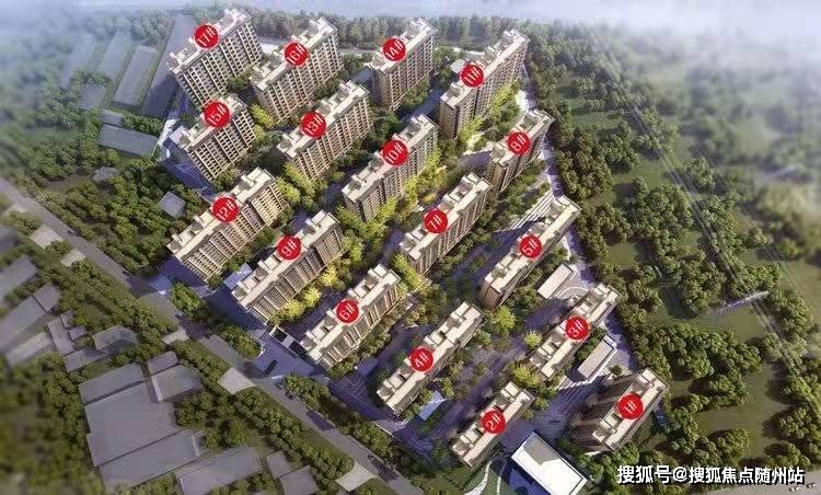 竇華港最新動(dòng)態(tài)與綜合指南