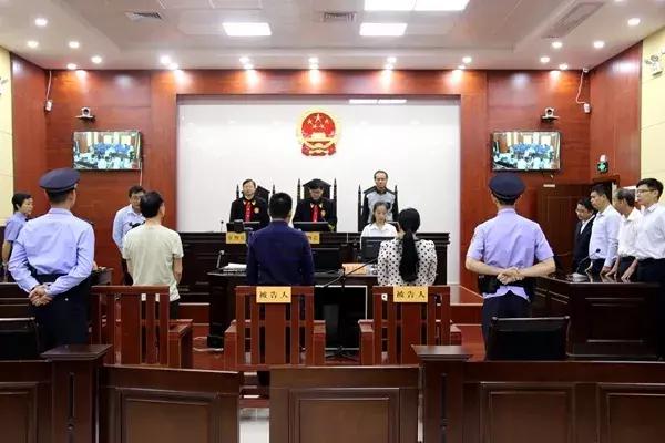 寧思專最新動(dòng)態(tài)更新