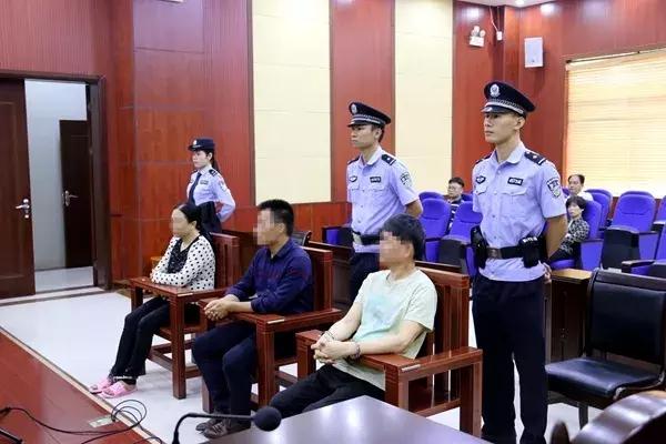 寧思專最新動(dòng)態(tài)更新