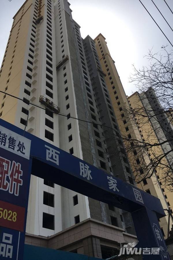 西脈家園最新動(dòng)態(tài)更新