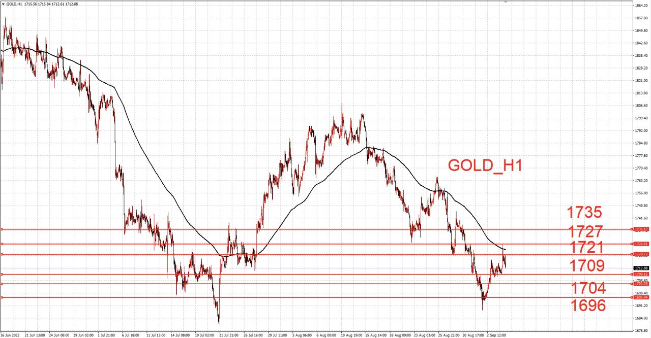 國(guó)際黃金基金持倉(cāng)比例最新動(dòng)態(tài)與市場(chǎng)洞察分析