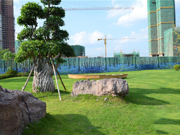 遂寧天鵝湖最新房價概覽與指南