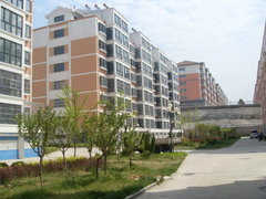 文登房?jī)r(jià)走勢(shì)最新消息更新????，最新趨勢(shì)分析！