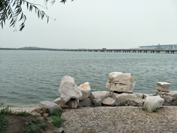 金海湖新區(qū)最新項(xiàng)目啟航，學(xué)習(xí)成就夢想，共創(chuàng)未來征程