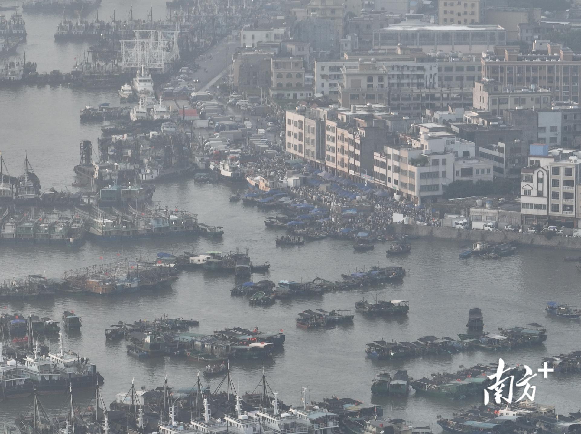 鹽城市濱海港最新動態(tài)更新概況