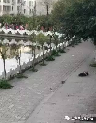 太伏中學(xué)慘案最新情況更新