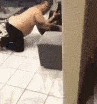 最污最新邪惡動態(tài)圖背后的自然美景心靈之旅探索