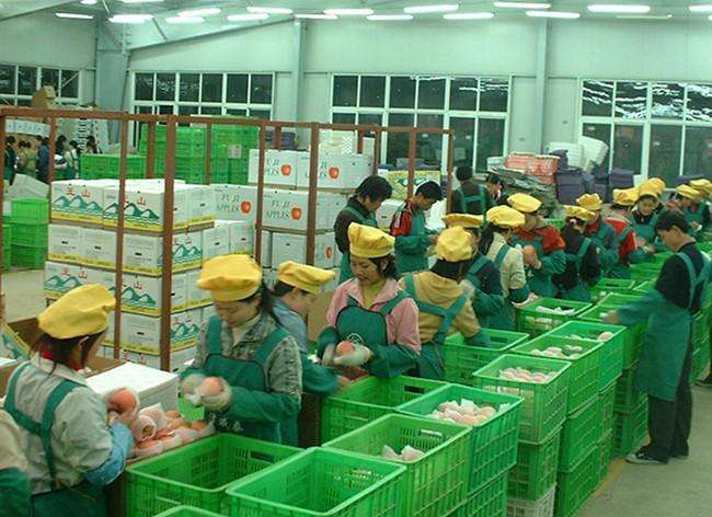 最新養(yǎng)雞場普工招聘啟事，攜手共創(chuàng)自信與成就，共啟勵志人生之旅